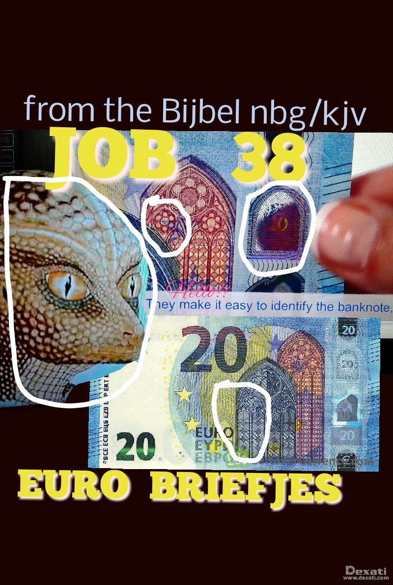 Visioen 4