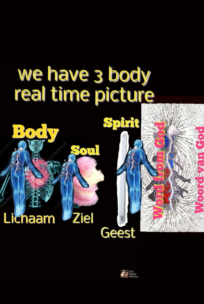 Visioen 19